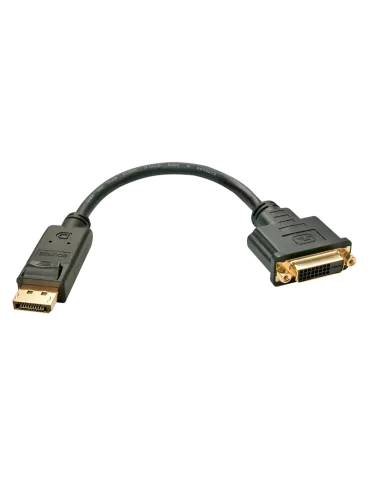 LINDY 41004 Lindy DisplayPort zu DVI Konverter LINDY LIN41004 | MusicGoodDeal 2