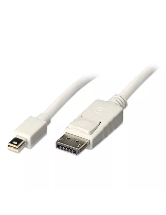 LINDY 41057 Lindy Mini DP (DisplayPort) to DisplayPort adapter cable 2m LINDY LIN41057 | MusicGoodDeal