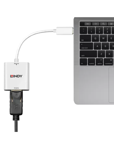 LINDY 43245 Lindy USB 3.1 type C to DP converter LINDY LIN43245 | MusicGoodDeal 2