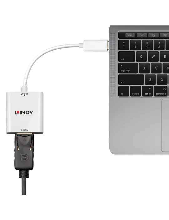 LINDY 43245 Lindy  Convertisseur USB 3.1 type C vers DP