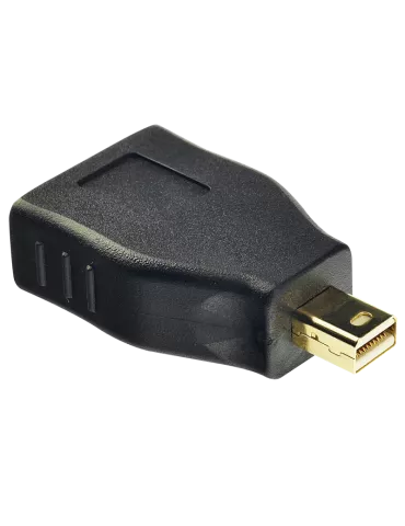 LINDY 41077 Lindy Mini DP to DP adapter LINDY LIN41077 | MusicGoodDeal
