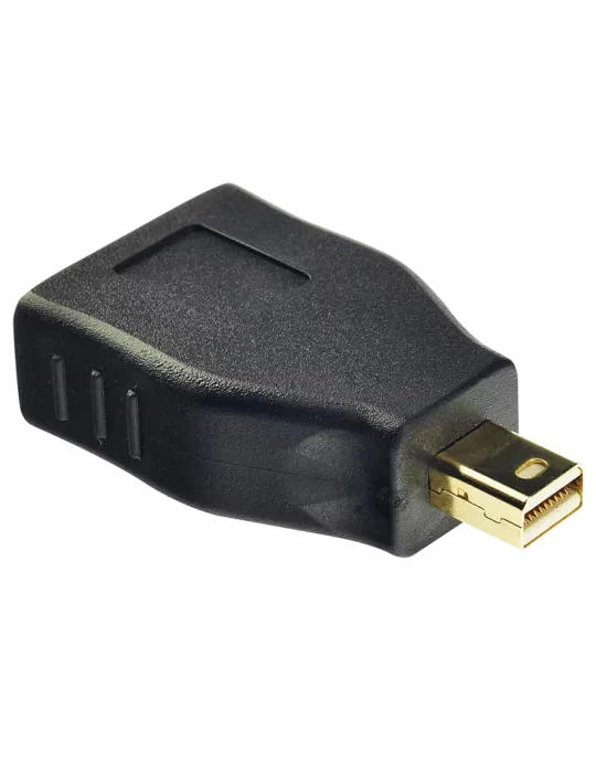 LINDY 41077 Adaptador Lindy Mini DP a DP LINDY LIN41077 | MusicGoodDeal