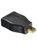 LINDY 41077 Adaptador Lindy Mini DP a DP LINDY LIN41077 | MusicGoodDeal