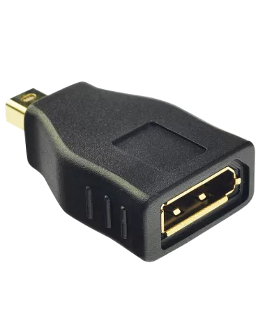 LINDY 41077 Lindy  Adaptateur Mini DP vers DP 2