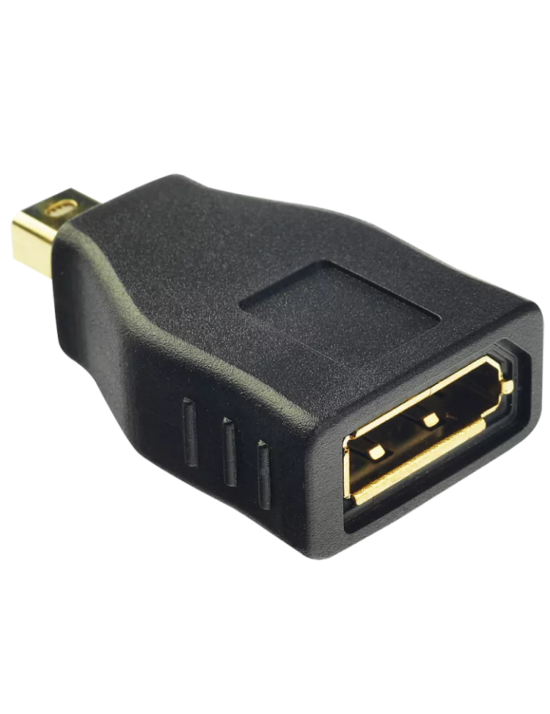 LINDY 41077 Lindy  Adaptateur Mini DP vers DP