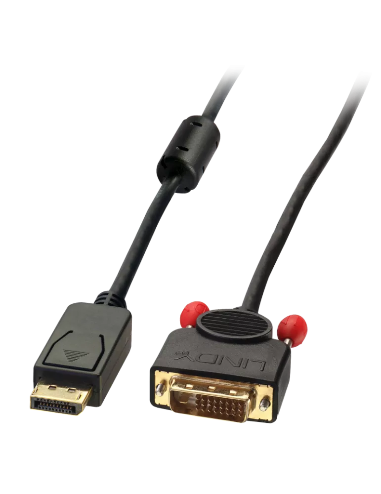 LINDY 41491 Lindy DisplayPort to DVI cable 2m LINDY LIN41491 | MusicGoodDeal