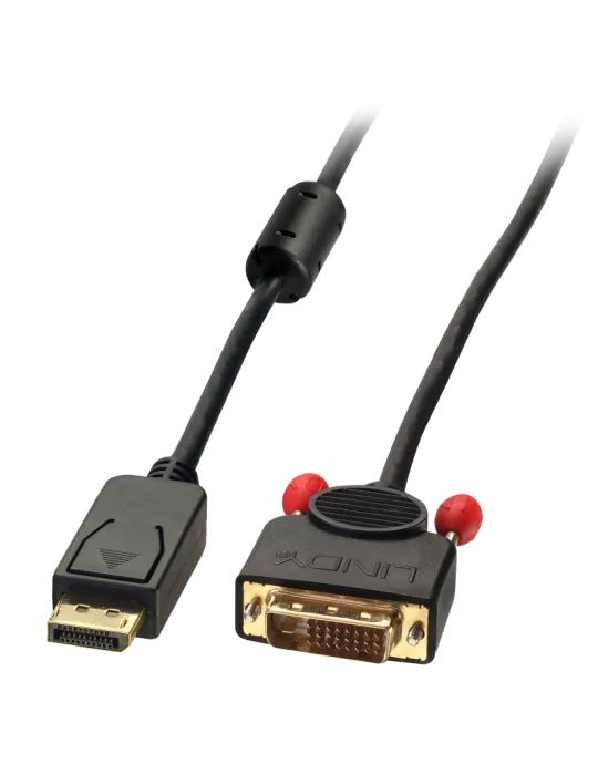 LINDY 41491 Lindy  Câble DisplayPort vers DVI 2m