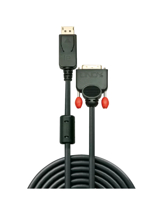 LINDY 41491 Lindy DisplayPort auf DVI Kabel 2m LINDY LIN41491 | MusicGoodDeal
