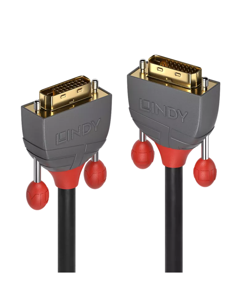 LINDY 36220 : Câble DVI-D Dual Link Anthra Line 0.5m