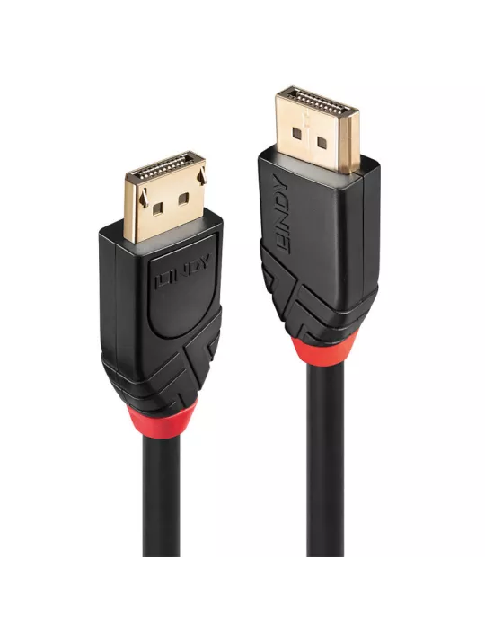 LINDY 41081 Lindy  Câble Actif DisplayPort 1.2 20m