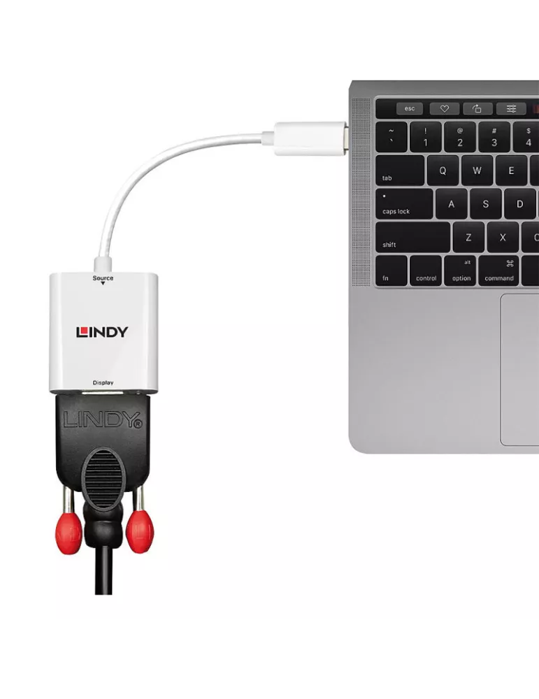 LINDY 43355 Lindy  Convertisseur USB type C vers VGA