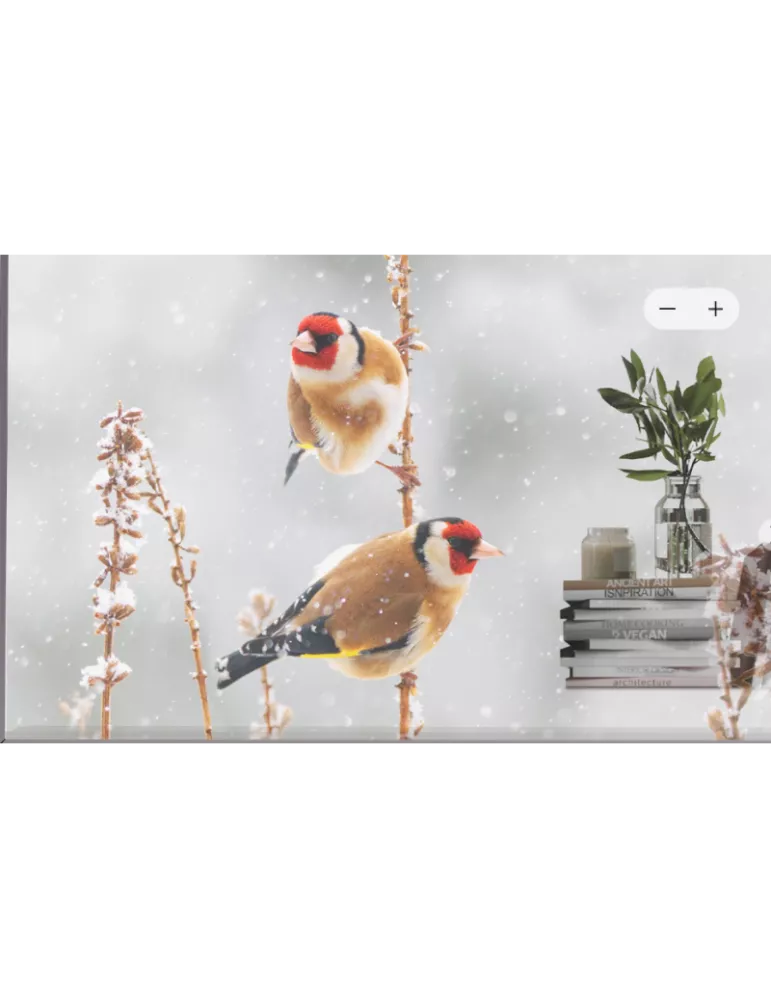 55EW5PM Moniteur transparent OLED 55" 55EW5P-M 1920x1080 FHD 600cd/m2