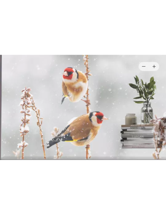 55EW5PM Moniteur transparent OLED 55" 55EW5P-M 1920x1080 FHD 600cd/m2