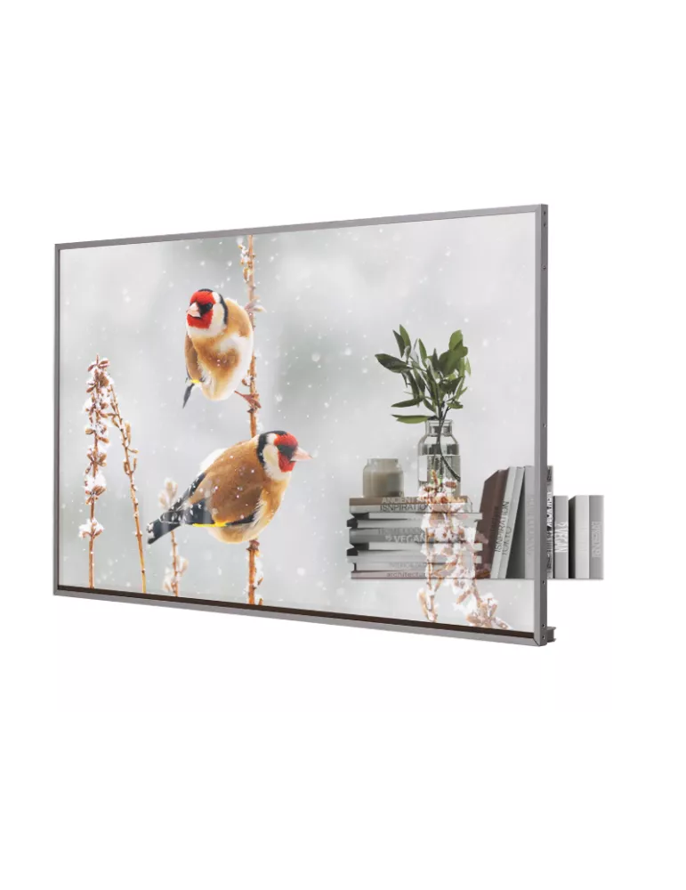 55EW5PM Moniteur transparent OLED 55" 55EW5P-M 1920x1080 FHD 600cd/m2