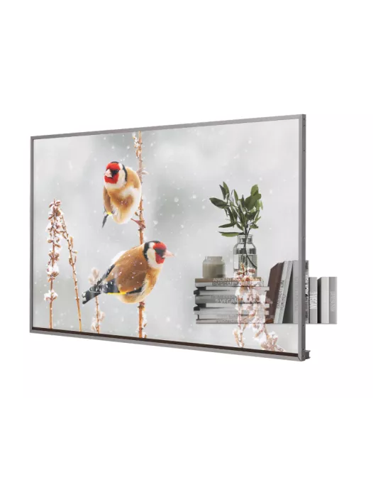 55EW5PM Moniteur transparent OLED 55" 55EW5P-M 1920x1080 FHD 600cd/m2