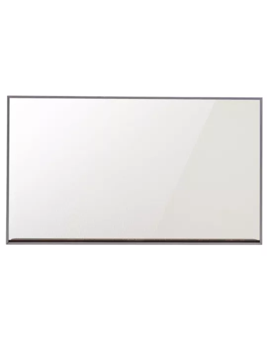 55EW5PM Moniteur transparent OLED 55" 55EW5P-M 1920x1080 FHD 600cd/m2