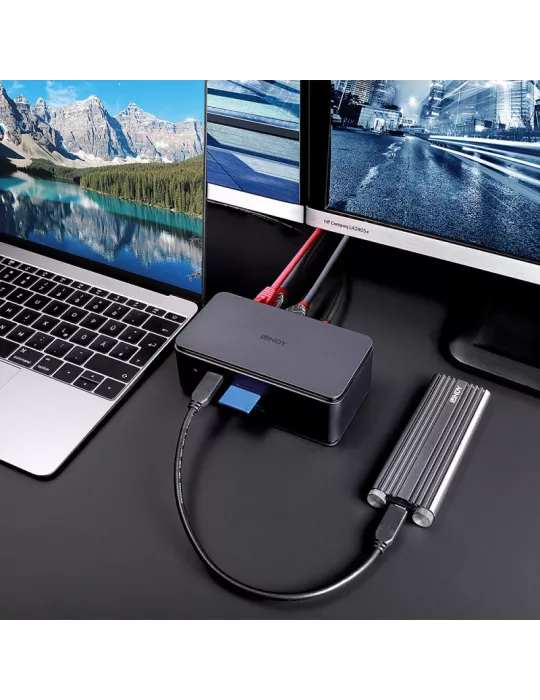 LINDY 43372 Lindy  DST-Pro USB4 Docking Station USB-C 8K pour Laptop