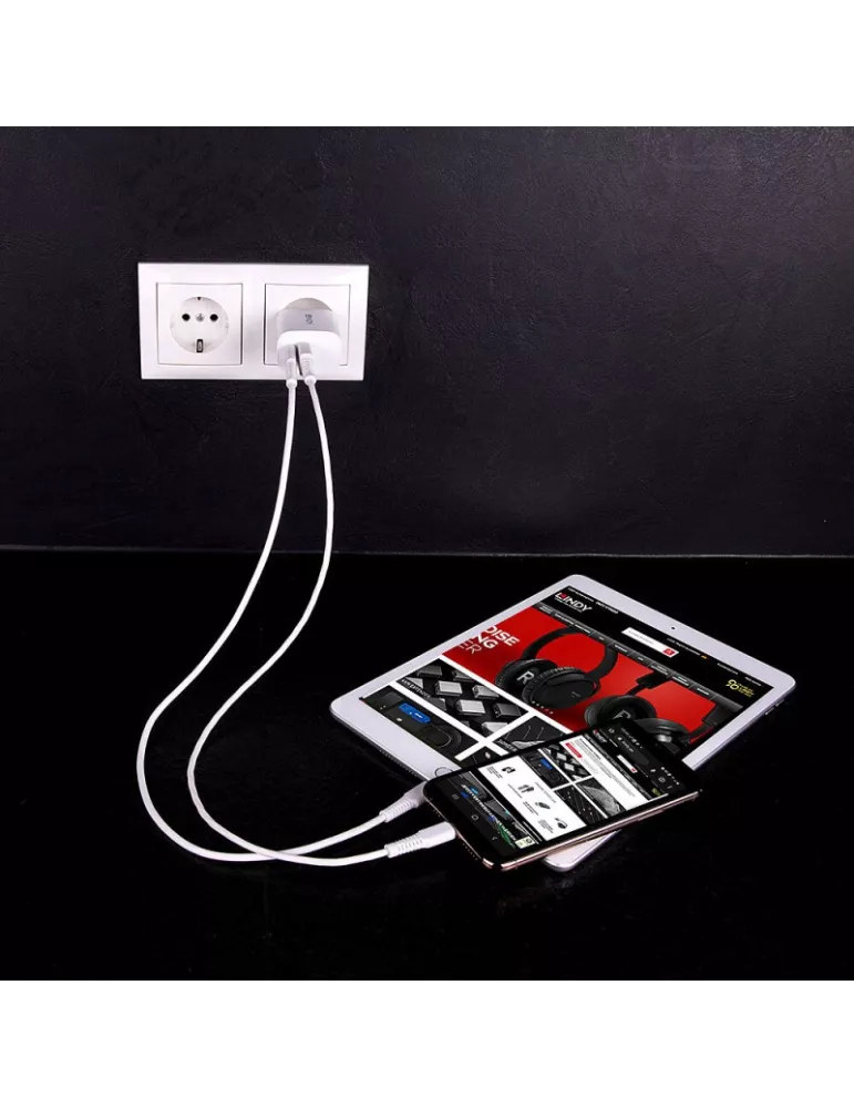 LINDY 73413 Lindy  Chargeur USB Type A & C 20W