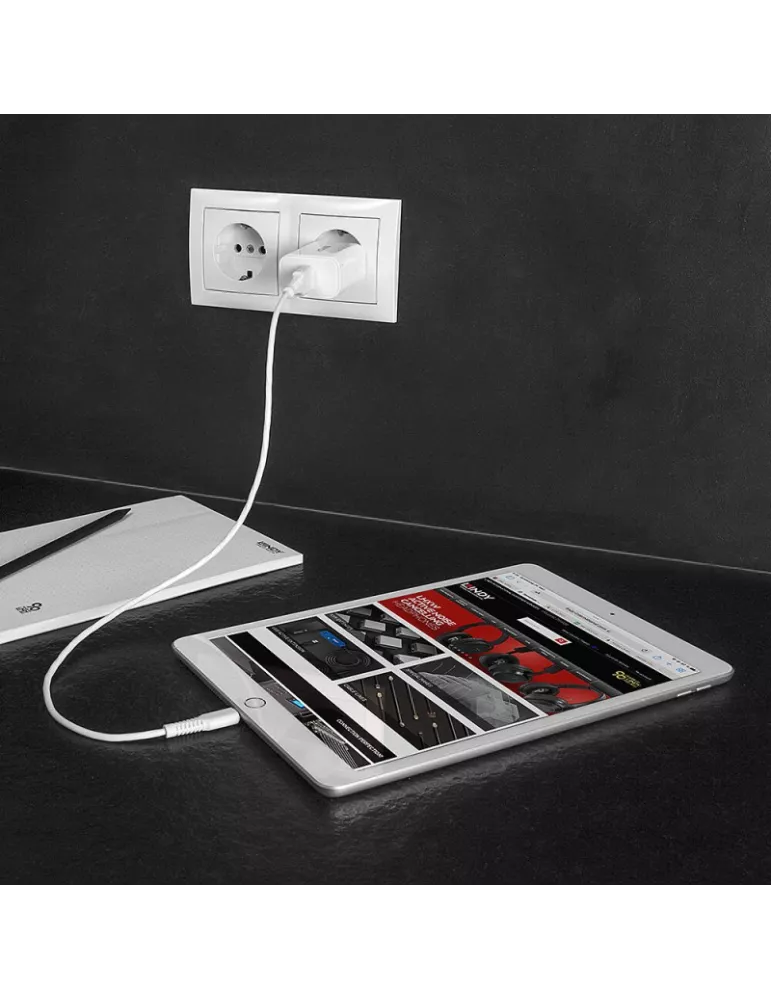 LINDY 73412 Lindy  Chargeur USB Type A 18W