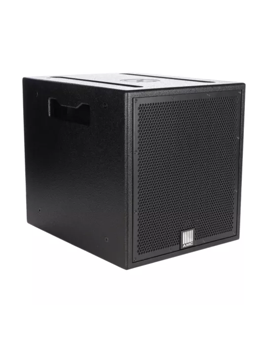 RFS12 Caisson de basse professionnel AMC RFS 12