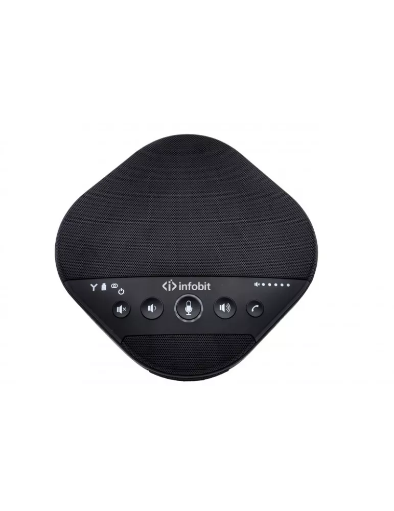 INFOBIT ISPKM600 Wireless omnidirectional cascade microphone kit Infobit iSpeaker M600 INFOBIT INFISPKM600 | MusicGoodDeal