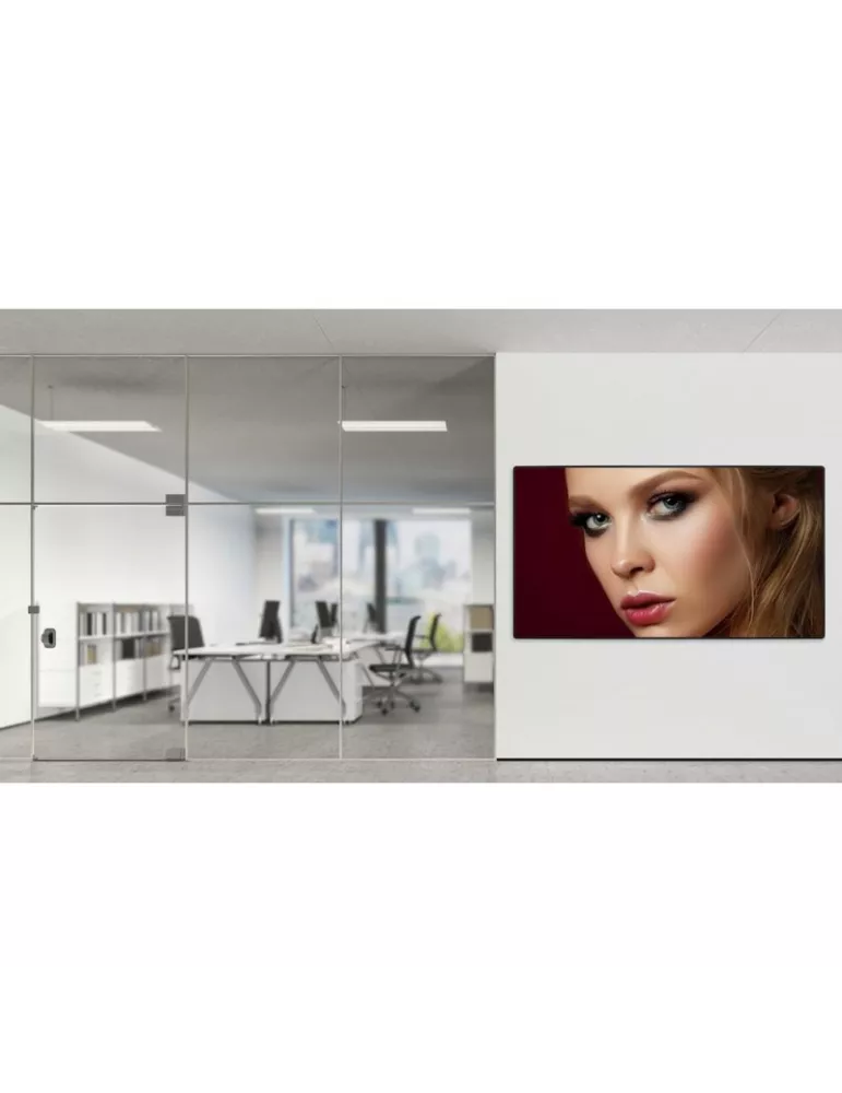 OPTOMA FHDS130 Ecran LED Tout-en-Un   Solo