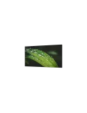 Dahua LS550UEMUG Ecran LCD 55'' Mur d'images 0.88mm DAHUA DHI-LS550UEM-UG Full HD 500 cd/m2 24/7