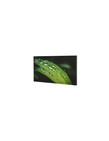 Dahua LS550UEMUG 55   LCD-Bildschirm Videowand 0.88mm DAHUA DHI-LS550UEM-UG Full HD 500 cd m2 24 7 Dahua DAHLS550UEMUG | Music 2