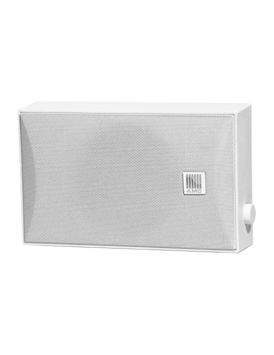 AMC ISPEAK5R Enceinte murale 6W