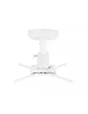 MULTIBRACKETS 0728 Support plafond Projector Ceiling mount Fine Tune REF  MULTIBRACKETS MUL0728 | MusicGoodDeal