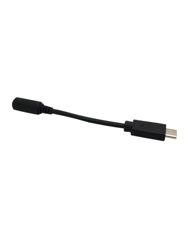 BRIGHTSIGN USBCJ3 Cordon audio analogique USB-C vers Jack 35mm stéréo  USB-C J3 Stéréo