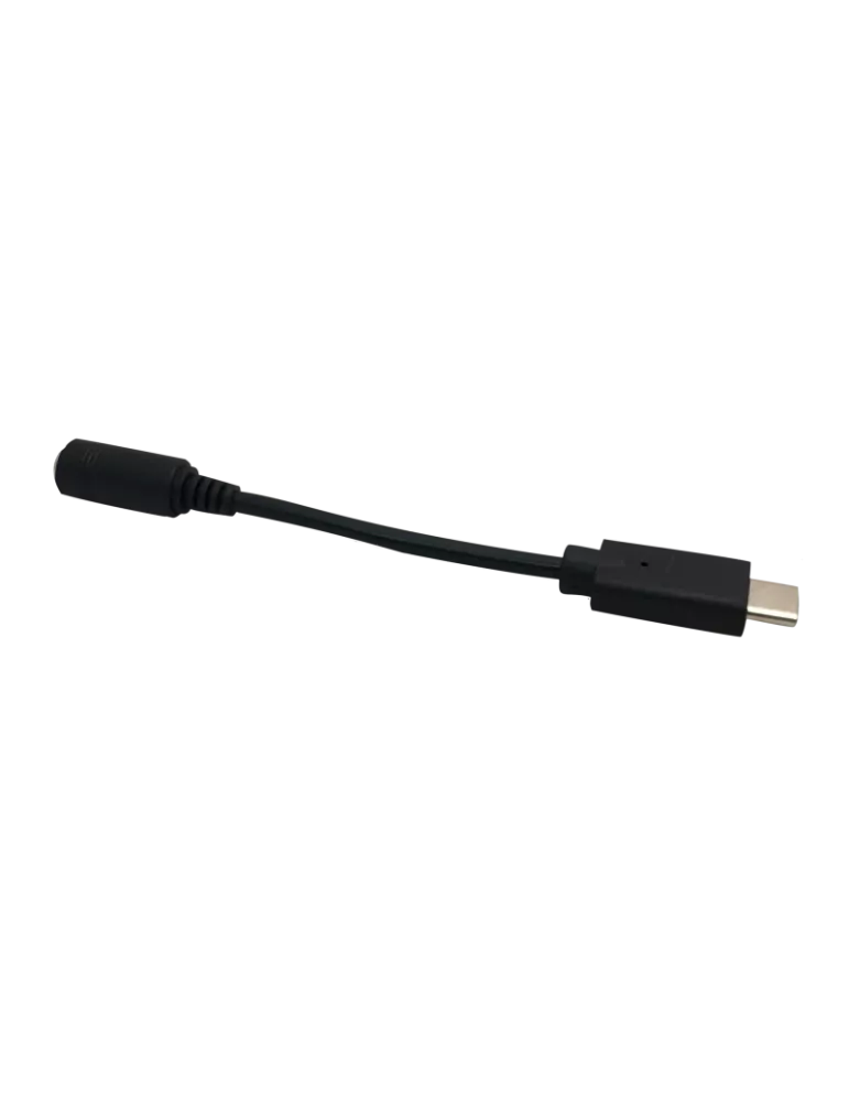 BRIGHTSIGN USBCJ3 Cordon audio analogique USB-C vers Jack 35mm stéréo  USB-C J3 Stéréo