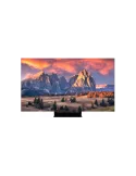 LG 65EP5G Moniteur  65" OLED Pro  3840x2160 UHD 1000cd/m2