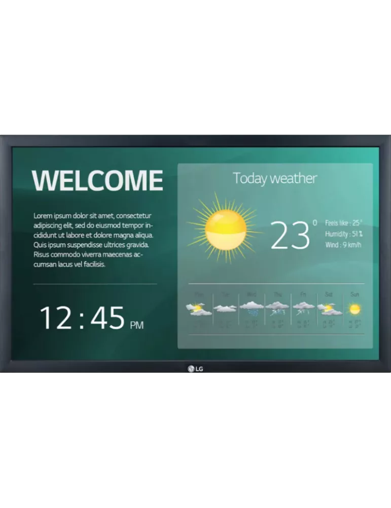 LG 22SM3G Moniteur 22''   (Full HD 250cd/m2 18/7)