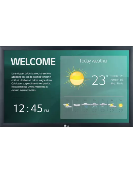 LG 22SM3G Moniteur 22''   (Full HD 250cd/m2 18/7)