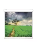 OSF B592515 Pantalla blanca motorizada formato 250x156 16 10 OSF LUXB592515 | MusicGoodDeal