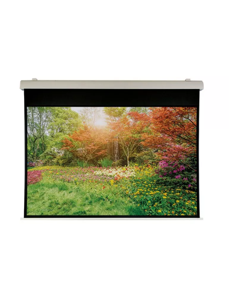OSF B604930 Motorized New SuperScreen 490x306 16 10 format with black borders OSF LUXB604930 | MusicGoodDeal