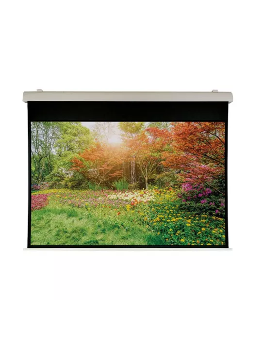 OSF B603419 Motorized SuperScreen custom size 267x200cm OSF LUXB603419 | MusicGoodDeal