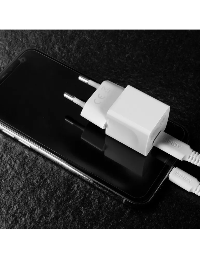 LINDY 73410 Lindy  Chargeur USB Type C GaN 20W