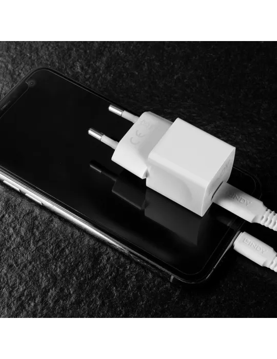 LINDY 73410 Lindy USB-Ladegerät Typ C GaN 20W LINDY LIN73410 | MusicGoodDeal