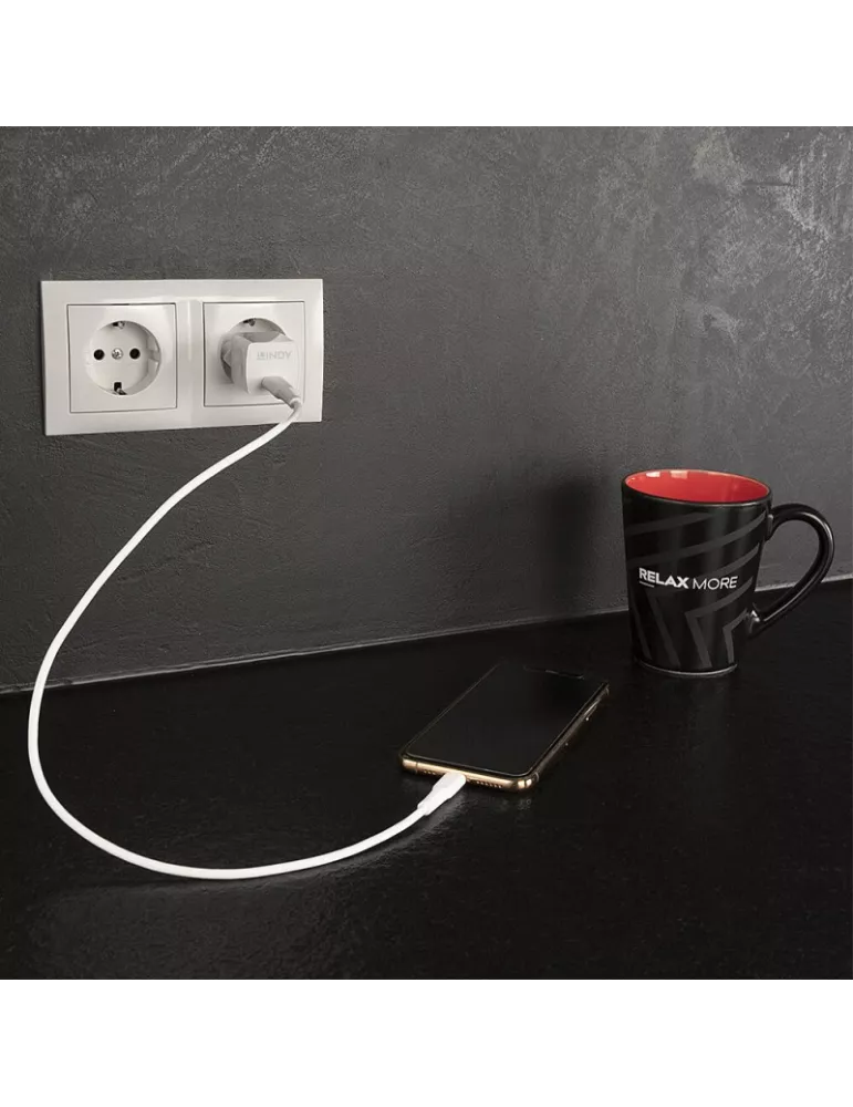 LINDY 73410 Lindy USB-Ladegerät Typ C GaN 20W LINDY LIN73410 | MusicGoodDeal