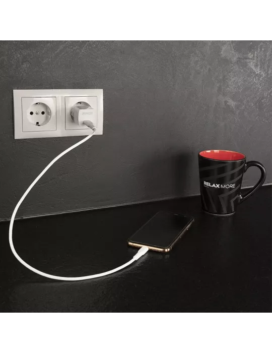 LINDY 73410 Lindy  Chargeur USB Type C GaN 20W