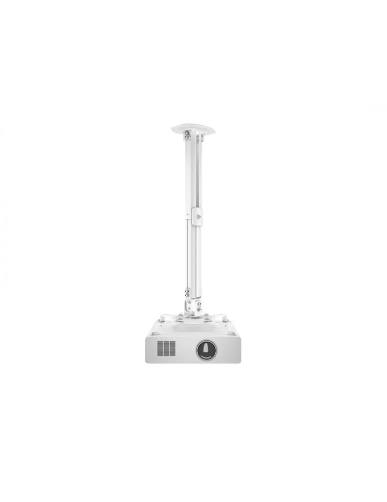 MULTIBRACKETS 0311 Support plafond Projector Ceiling mount I REF  MULTIBRACKETS MUL0311 | MusicGoodDeal