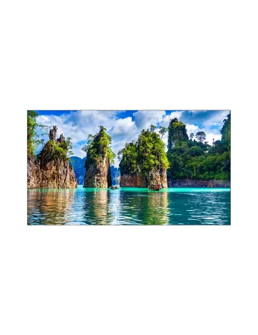 VESTEL WW55B2H Moniteur 55" pour mur d'images  WW55B (Full HD 500cd/m2 1.7mm BàB)