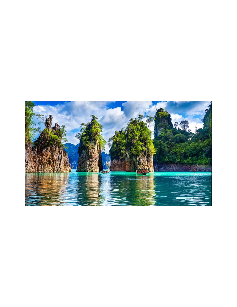 VESTEL WW55B2H 55  LED monitor for WW55B video wall (Full HD 500cd m2 1.7mm BàB) VESTEL VESWW55B2H | MusicGoodDeal
