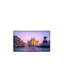 VESTEL PR65B4H Monitor LED de 65  PR65B-4H 4K UHD 700cd m2 SoC 24 7 Paisaje Retrato VESTEL VESPR65B4H | MusicGoodDeal
