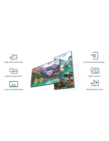 DYNASCAN DS491LT6 Monitor LCD   D-LED Full HD 5500 cd m² 24 7 de 49  y alto brillo DYNASCAN DYNDS491LT6 | MusicGoodDeal 2