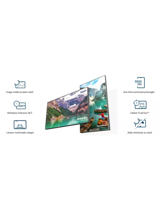 DYNASCAN DS491LT6 Ecran vitrine haute luminosité   49'' Full HD 5500cd/m2 24