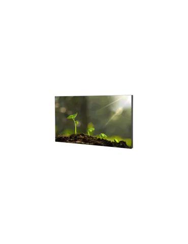 Dahua LS550UCMBF Ecran LCD 55'' Mur d'images 3.5mm DAHUA DHI-LS550UCM-BF Full HD 500 cd/m2 24/7