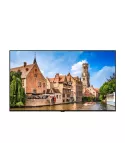 VESTEL XN75D4H Monitor de 75  XN75D-4H 4K UHD Android 9.0 500cd m2 VESTEL VESXN75D4H | MusicGoodDeal
